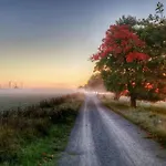 Harzhaus Ida Casa de Férias Elbingerode (Saxony-Anhalt)