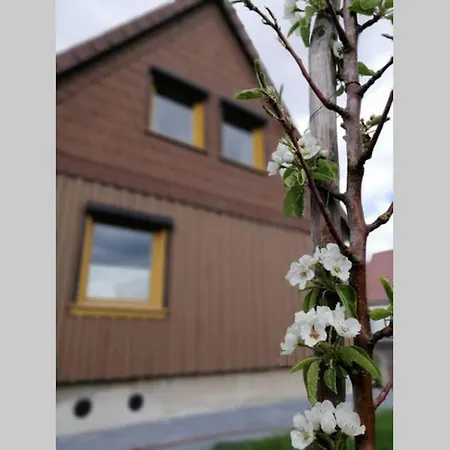 Harzhaus Ida Эльбингероде