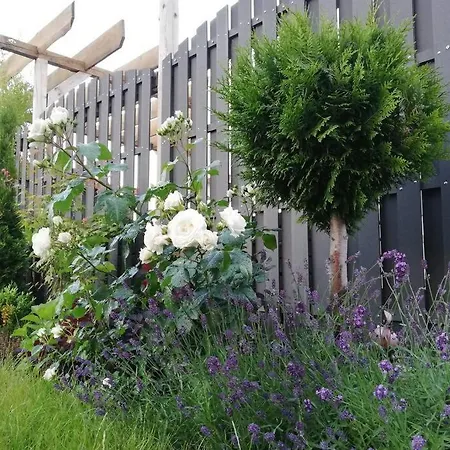 Harzhaus Ida 別荘 *