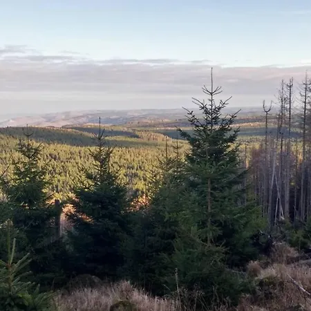 Harzhaus Ida 別荘 *