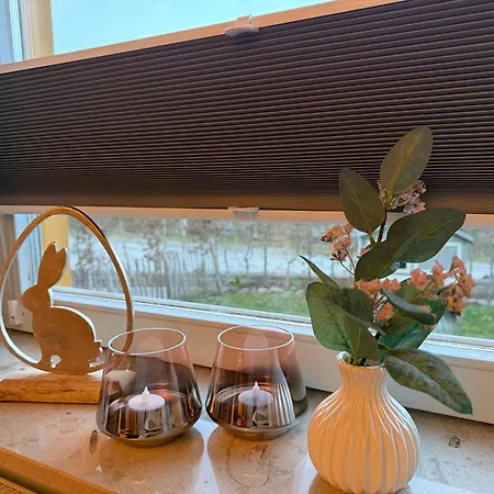 度假居 Harzhaus Ida 艾波英罗德