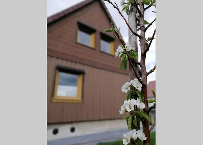 Harzhaus Ida 艾波英罗德