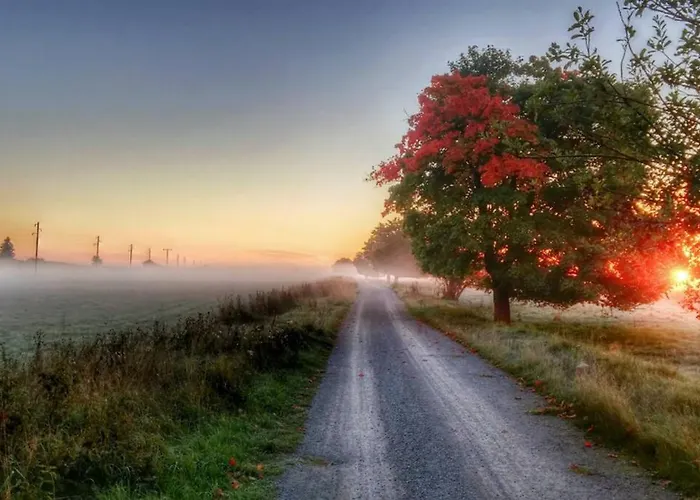 Harzhaus Ida 度假居 艾波英罗德