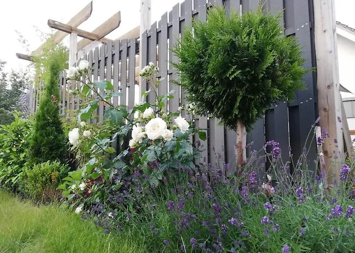 Harzhaus Ida 度假居 *