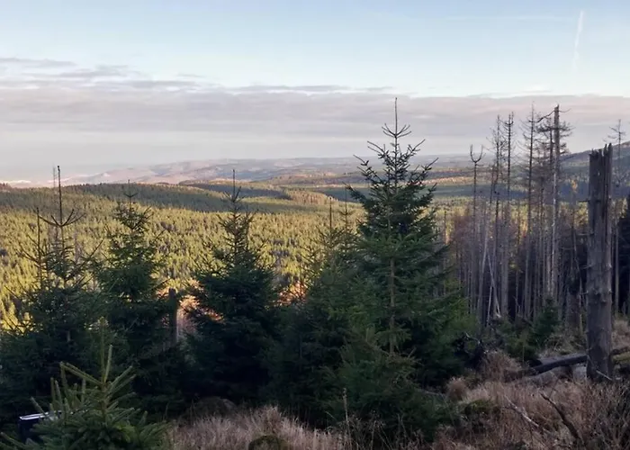 Harzhaus Ida 度假居 *