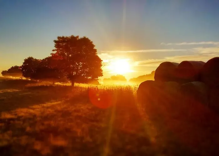 Harzhaus Ida 度假居